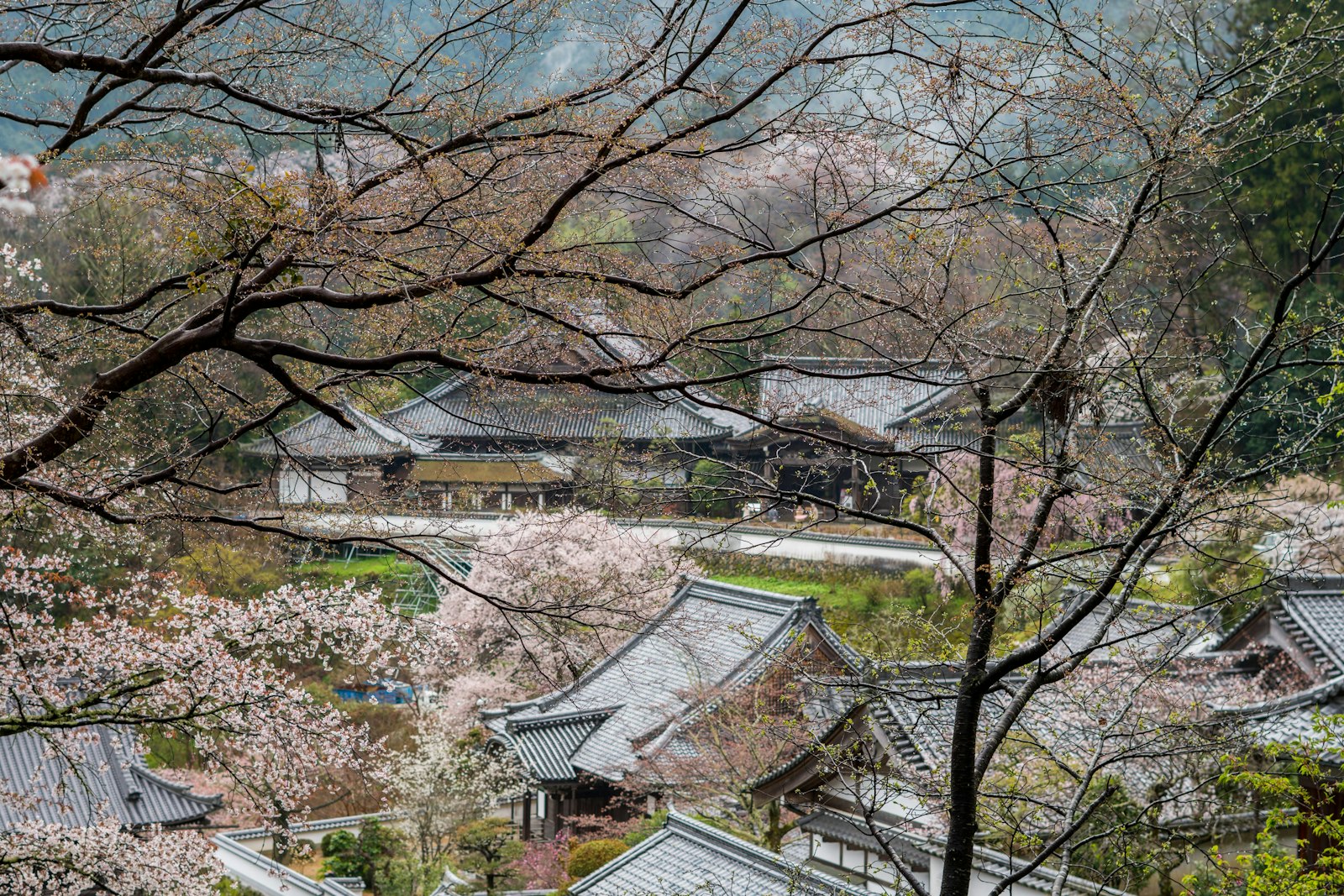 Village Highlights and Views — Japan travel