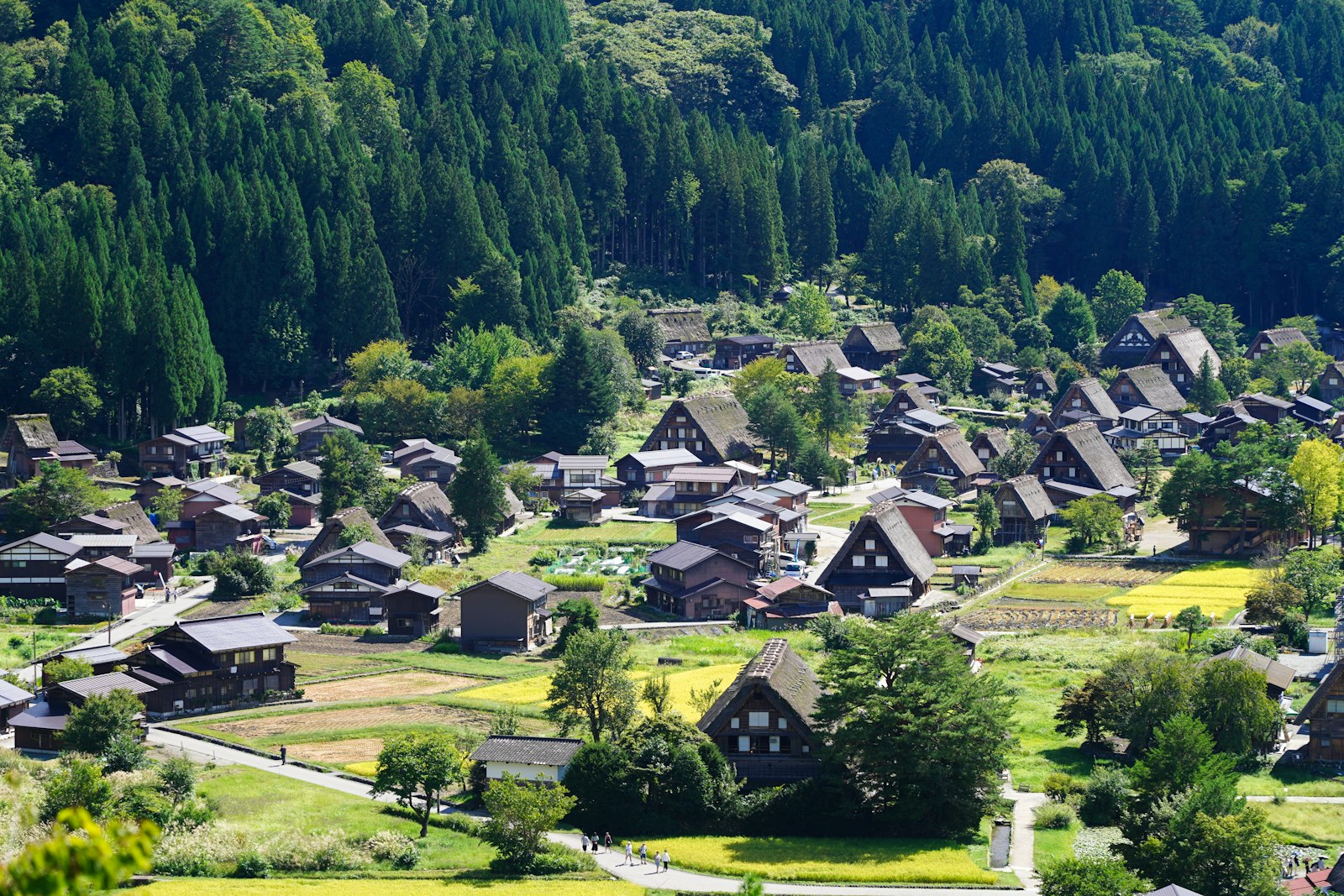 An aerial view of a village in the mountains