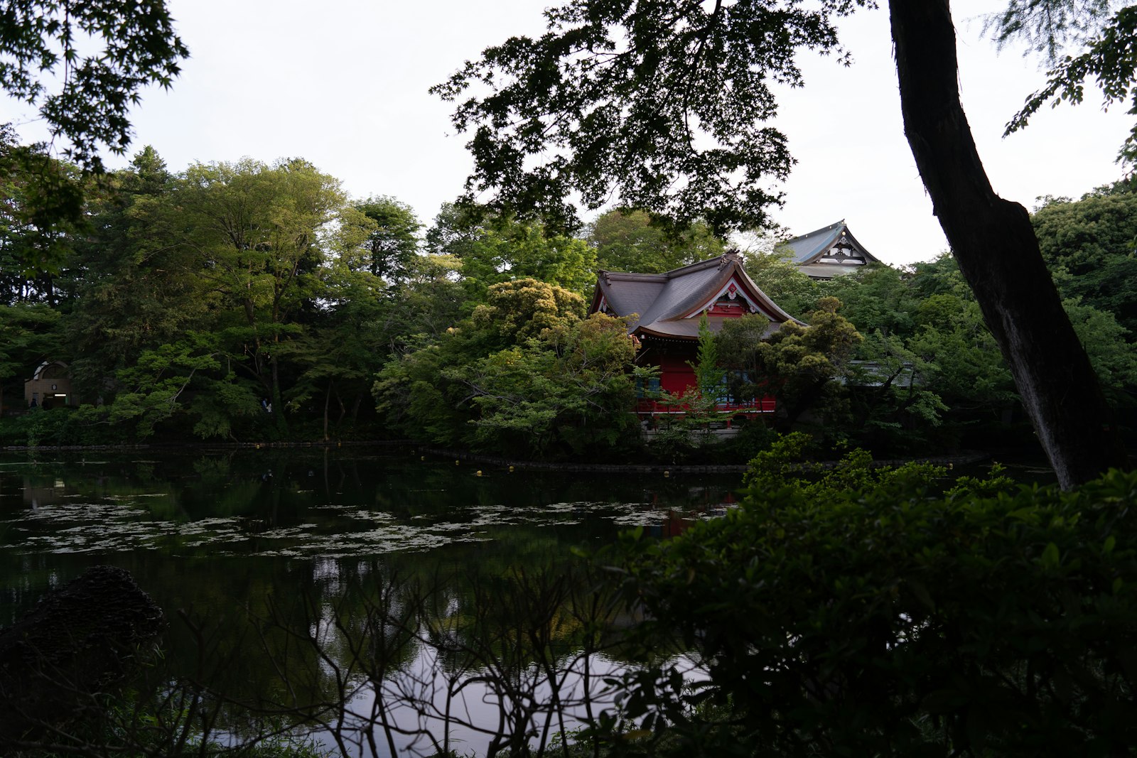 Getting to Mitaka — Japan travel