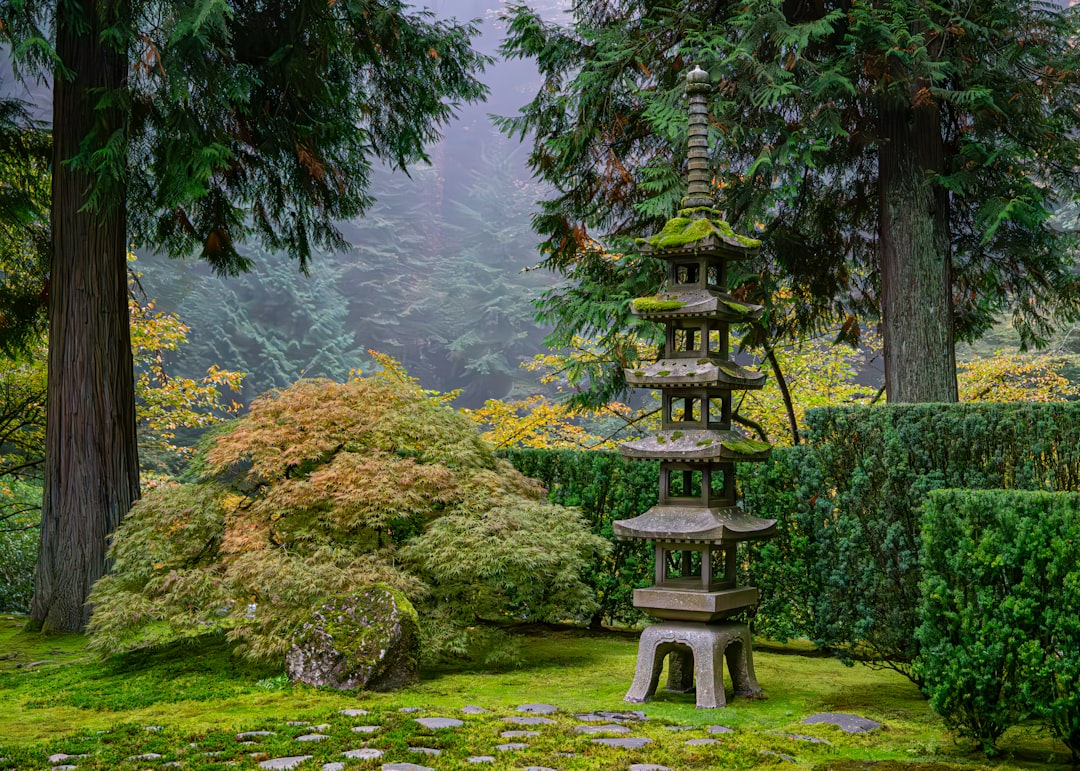:japanese garden with stone lantern near omotesando tokyo