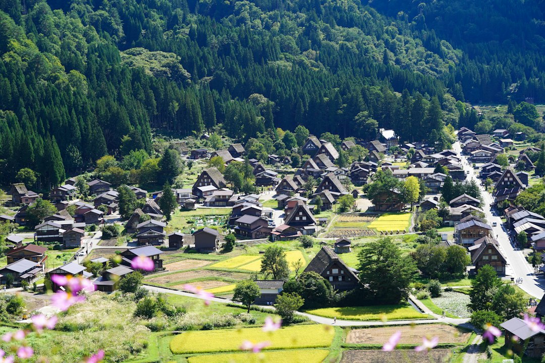 ：gassho-zukuri farmhouses in ainokura, gokayama, toyama prefecture