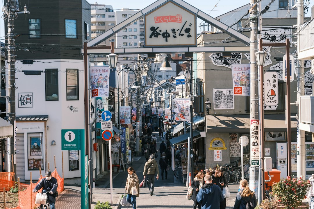 ：yanaka ginza shopping street in old tokyo at dusk