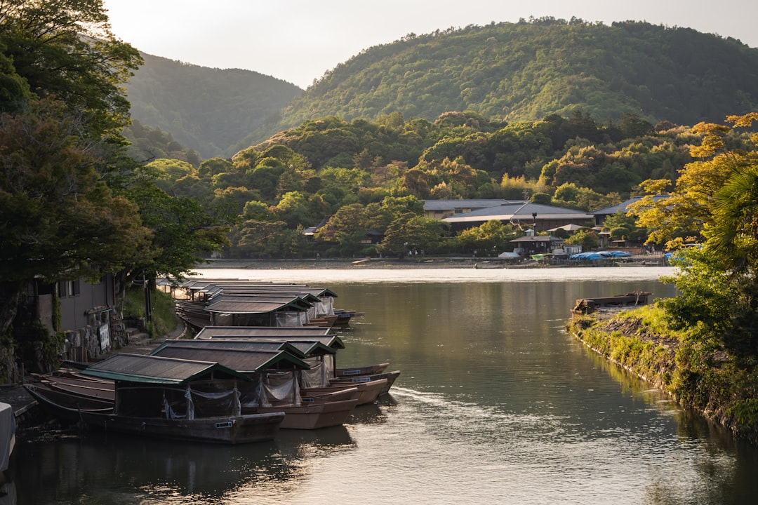:ine funaya boathouses near amanohashidate on a day trip from kyoto