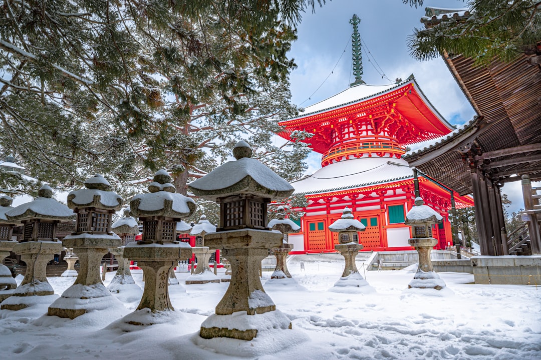 ：snow monsters on hakkoda near aomori city in winter