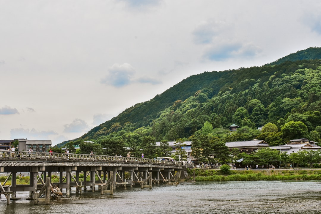 :kawayuka dining platforms on the kamo river behind pontocho alley