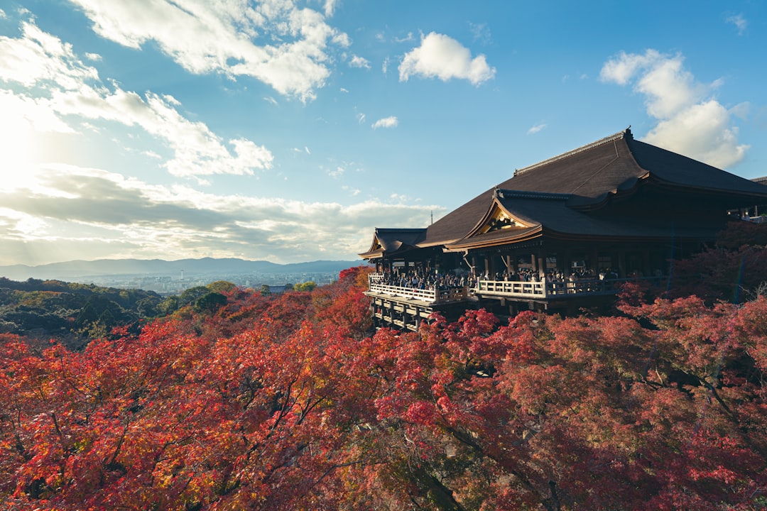 :kyoto temple maples in late november during a two-day itinerary