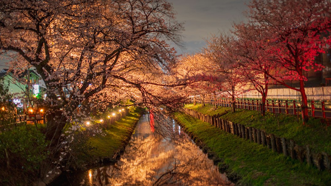:bars along the takase canal in kiyamachi kyoto at night