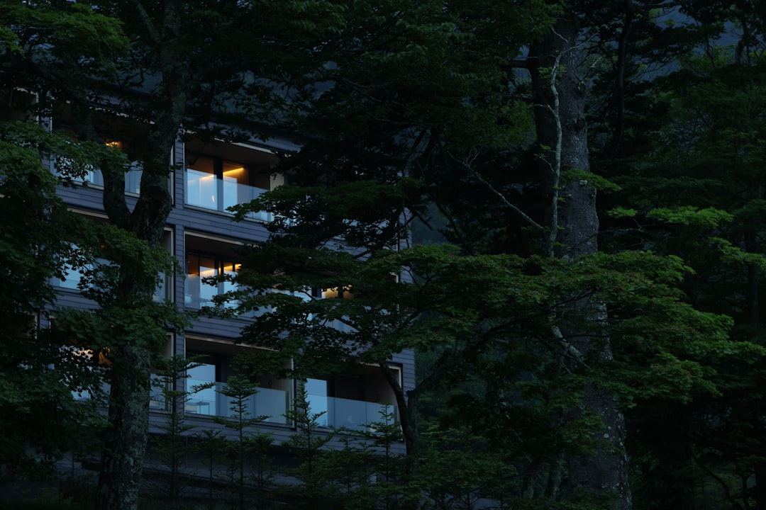 :omotesando tokyo flagship store lit up at dusk
