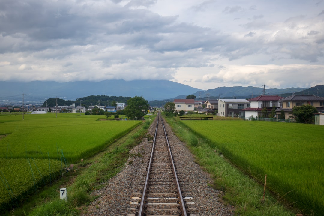 :train line through countryside on the way from tokyo to nikko