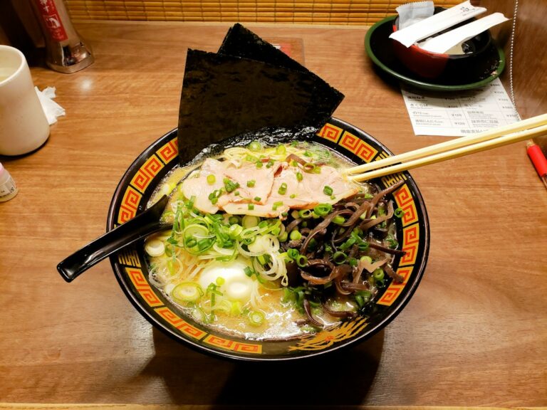 ：a bowl of kyoto ramen with dark soy broth, chashu and green onion