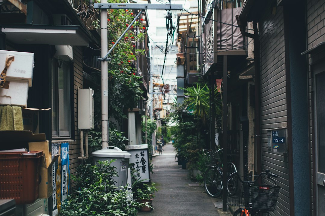 ：back lanes of the yanaka neighbourhood near yanaka ginza tokyo