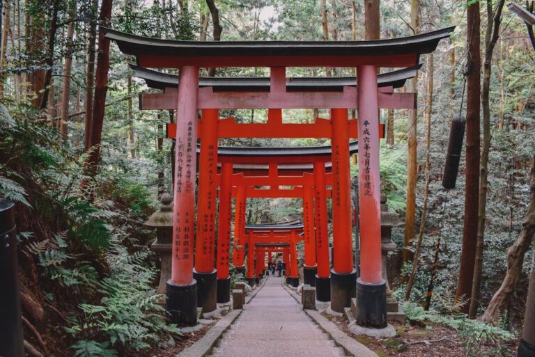 ：torii gate at the entrance to a kyoto shrine in the early morning