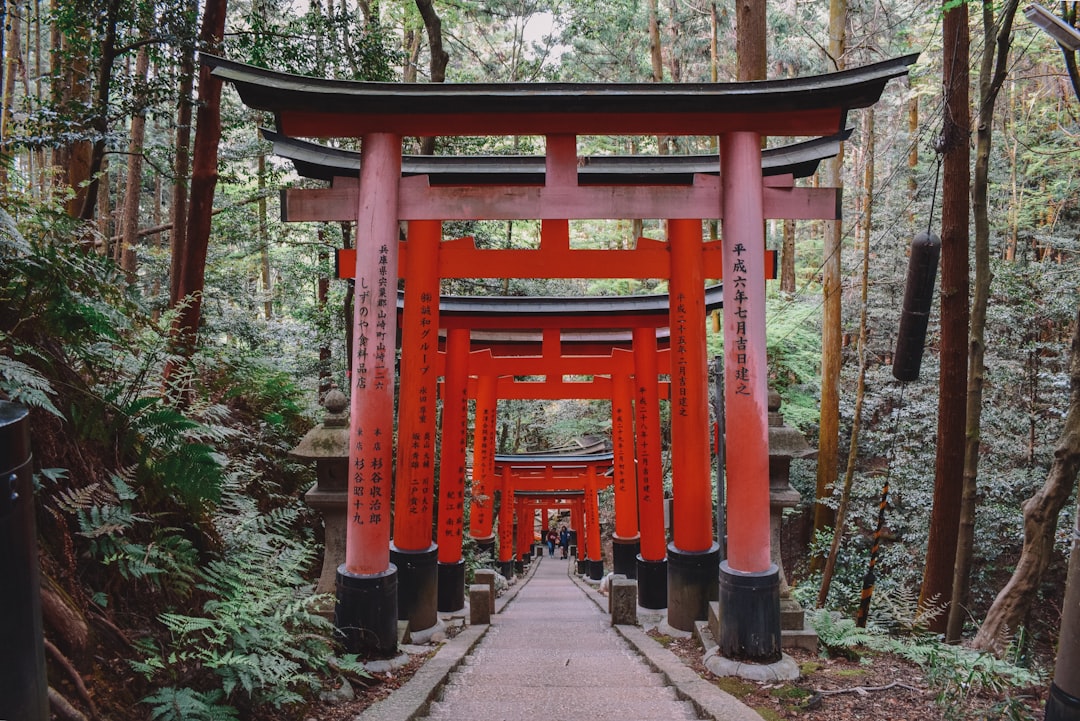 :torii gate at the entrance to a kyoto shrine in the early morning