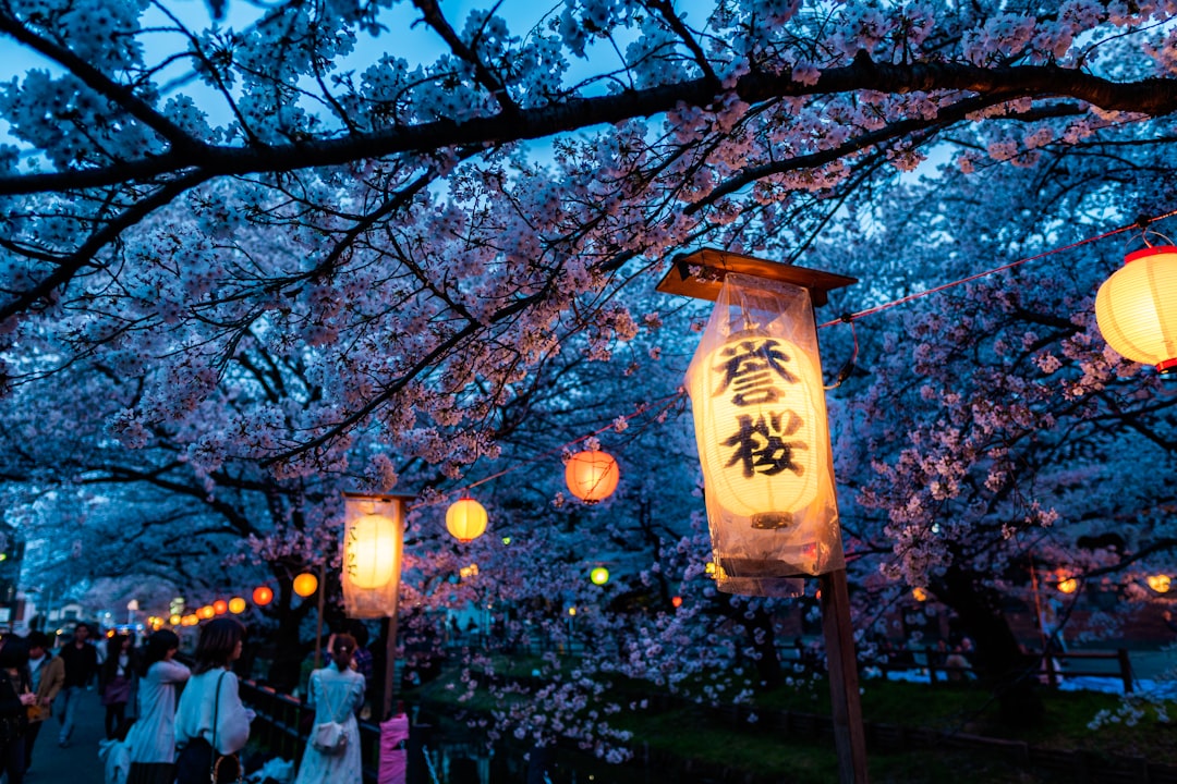 Festivals, Holidays, and What to Eat — Japan travel