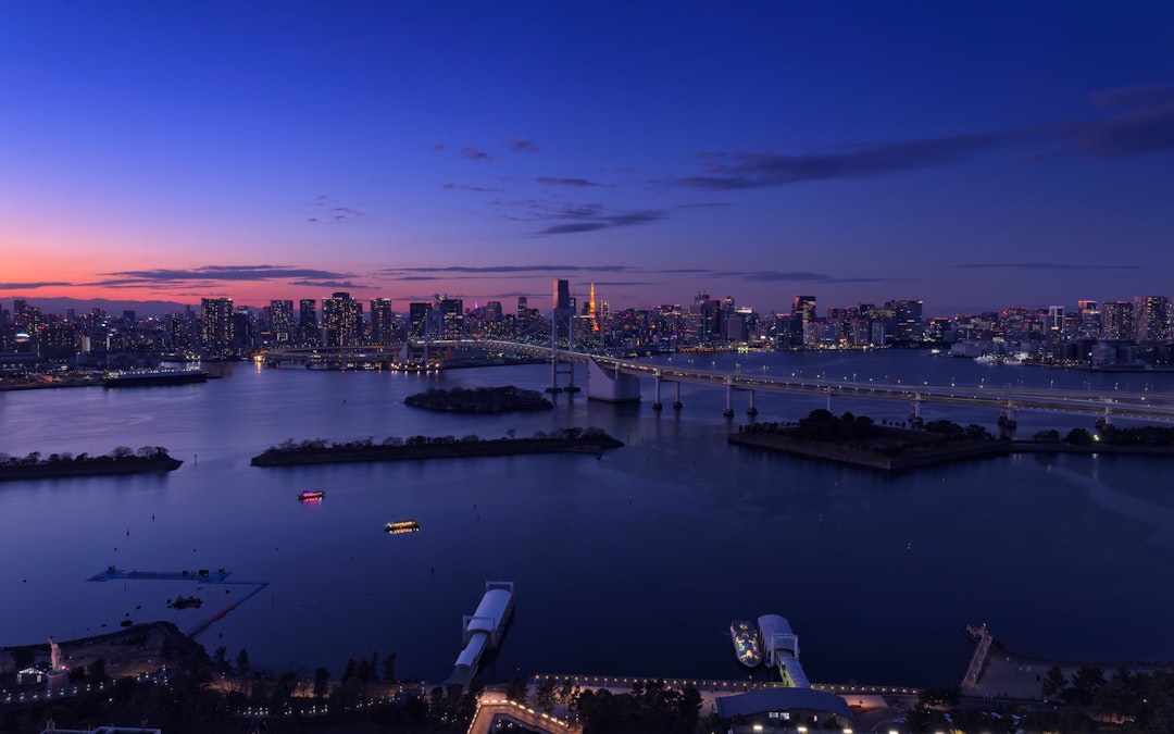 ：view from tokyo tower main deck over the city at sunset