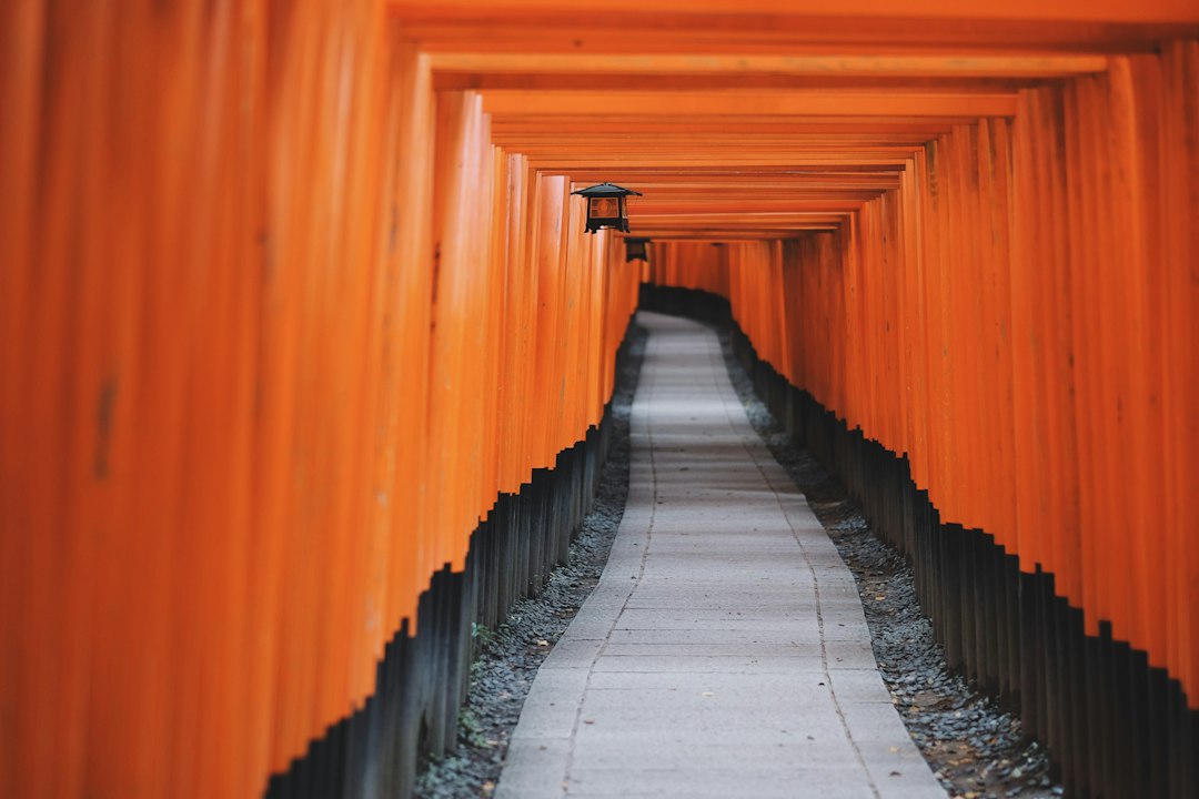 :early morning at fushimi inari in kyoto